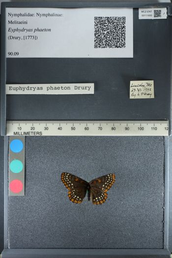 Media type: image;   Entomology 111600